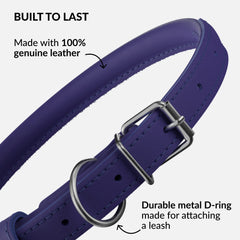 CollarDirect color collection of leather dog collars in multiple hues