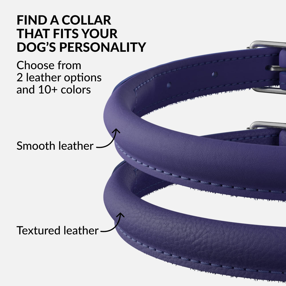 CollarDirect color options include multiple colors for every pup, Purple Smooth included.