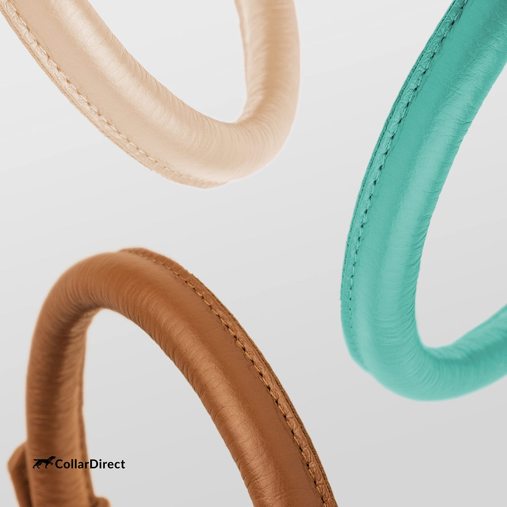 CollarDirect matching cat collar set for coordinated pet accessories.