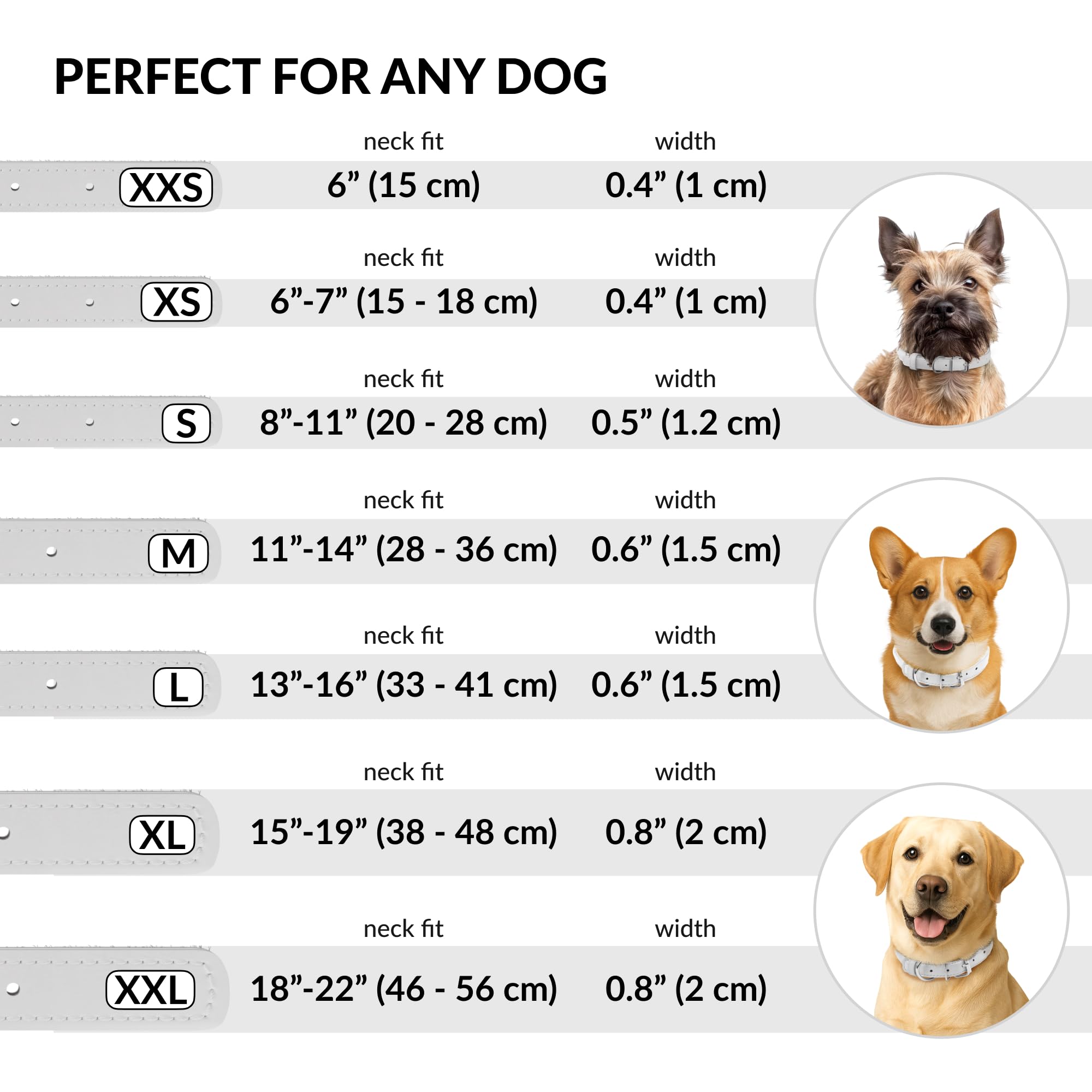 CollarDirect dog collar 15-19 inch size chart image emphasizes proper fit and comfort.
