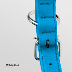 CollarDirect dog collar showing neck size 16-20 inches, versatile fit