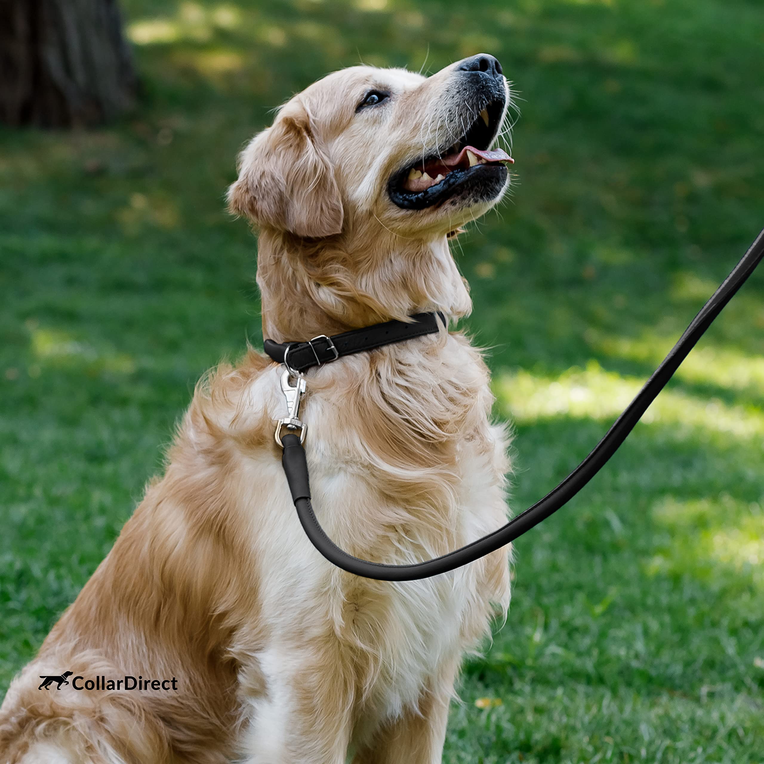 CollarDirect dog collar adventure-ready durability for daily wear.