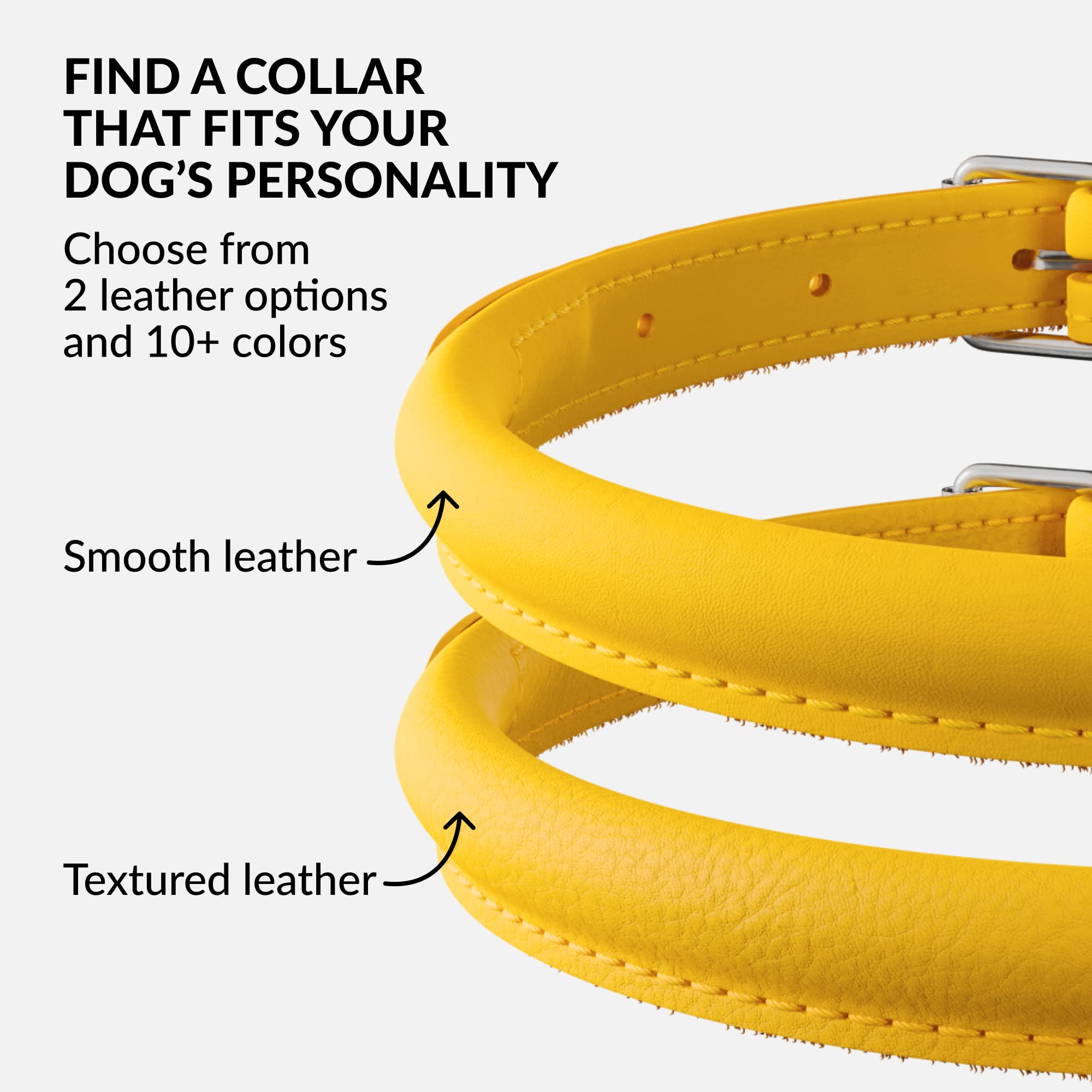 CollarDirect rolled-leather collar in mud shows easy-clean outdoor durability.