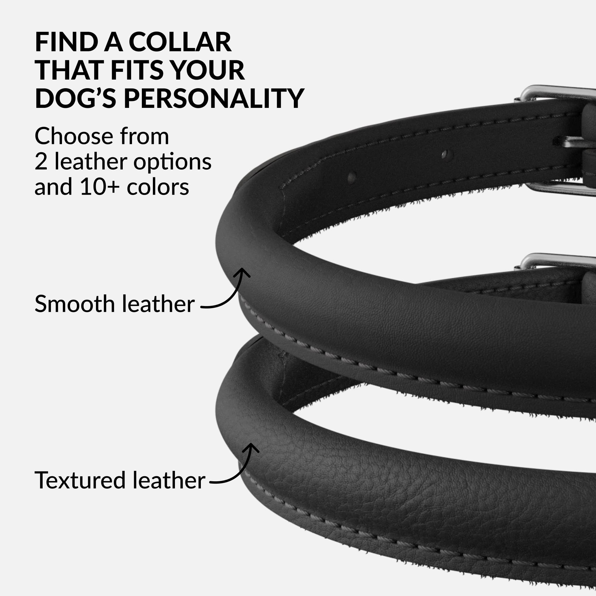 CollarDirect multi-color leather collar options illustrate diverse pup personalities.