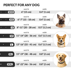 CollarDirect dog collar neck size 16-20 inch close-up for precise fit