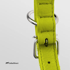 CollarDirect dog collar size 16-20 inches demonstrates versatile fit