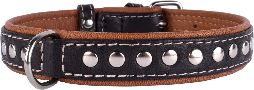 CollarDirect stud-detail hardware image emphasizes quality construction and long-lasting wear.