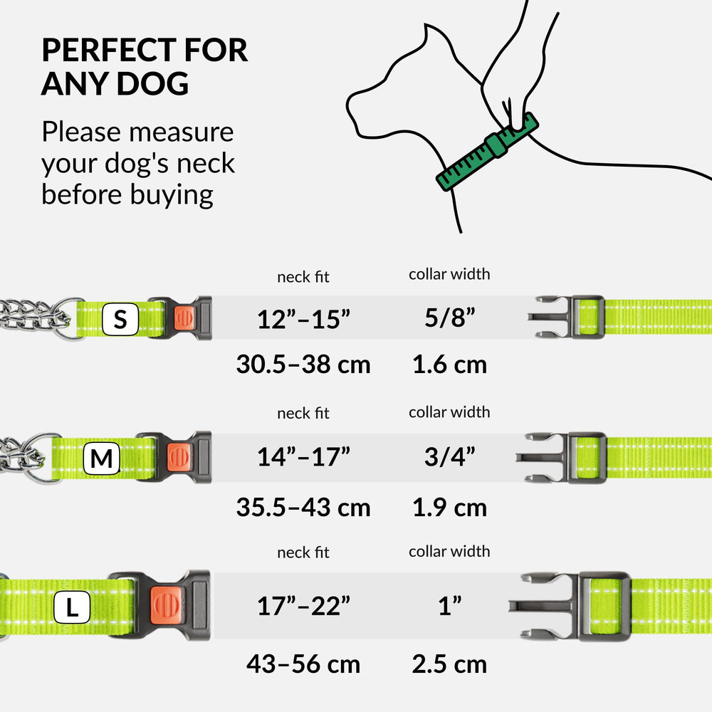 CollarDirect training dog collar supports control and comfort during sessions