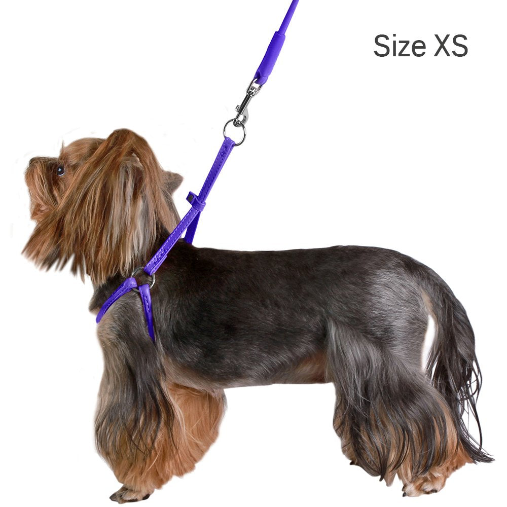 CollarDirect green rolled leather harness — vibrant color and gentle fit for small dogs.
