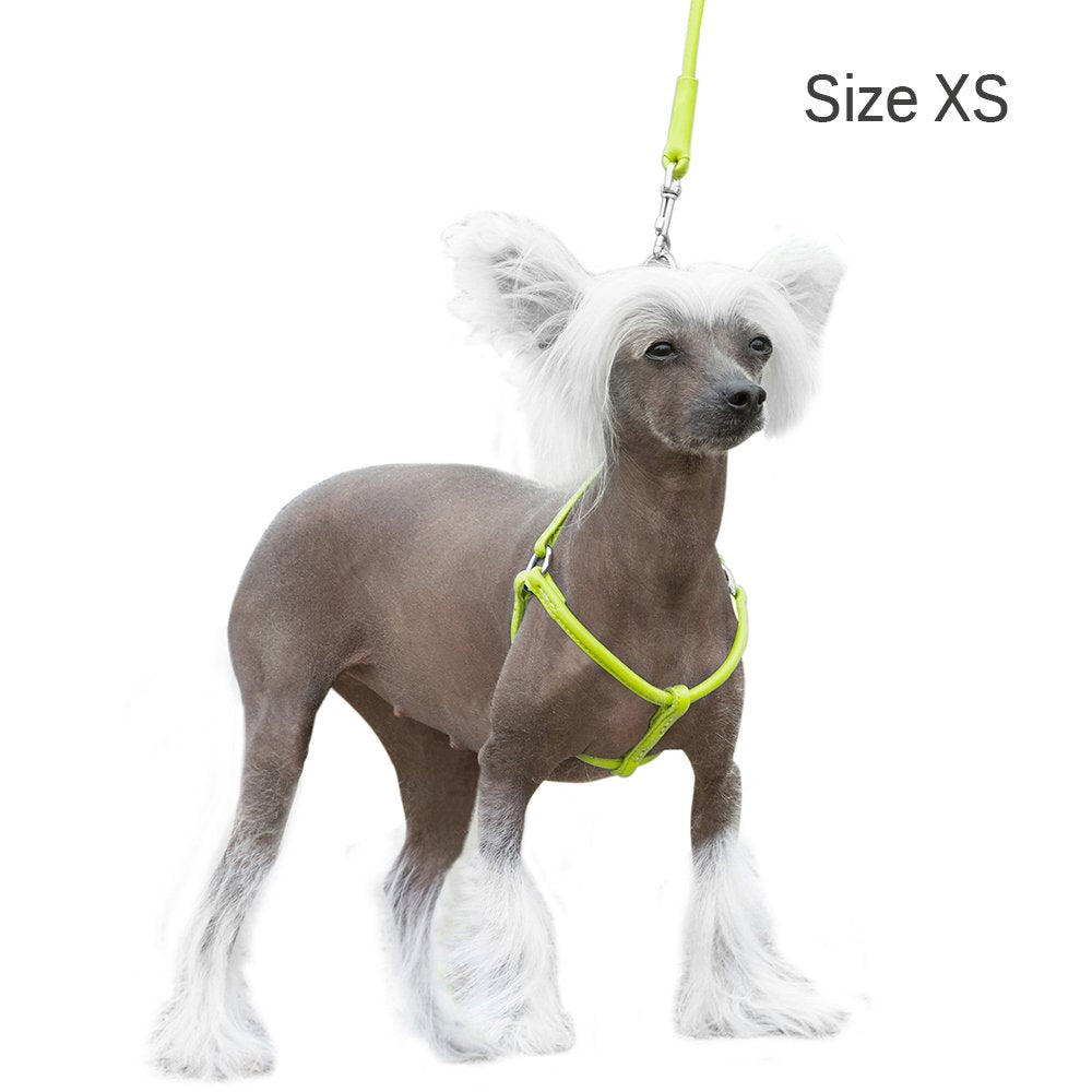 CollarDirect yellow rolled leather harness — high-contrast hue for easy quick checks.