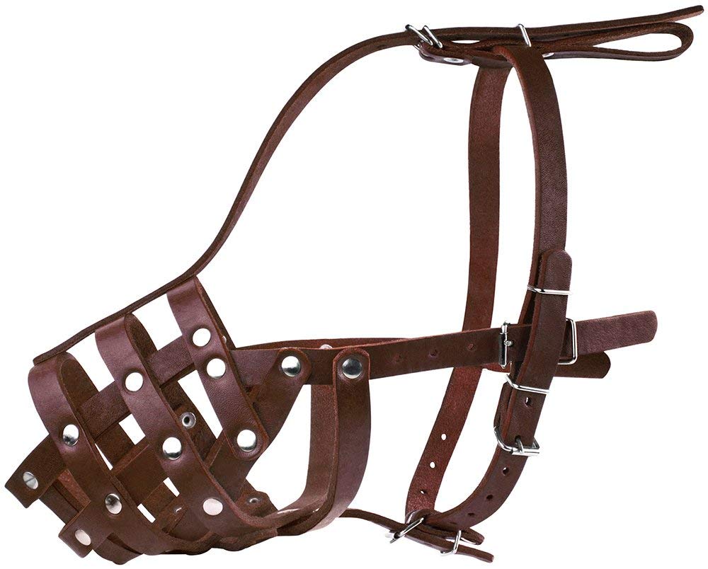 CollarDirect adjustable straps closeup highlights quick-fit, secure muzzle for busy walks.