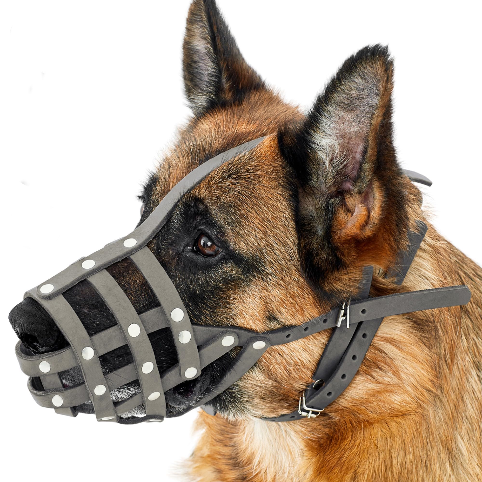 CollarDirect grey leather basket muzzle on a medium dog for secure comfort.