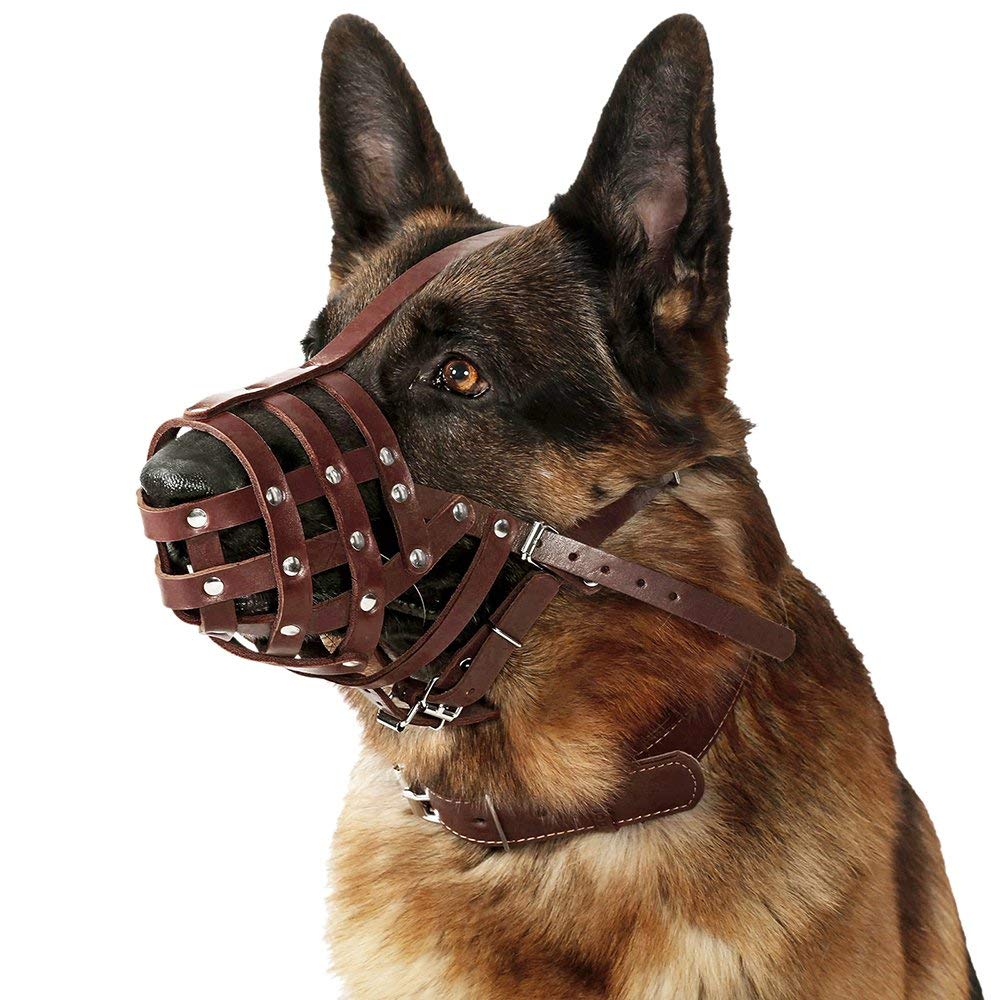 CollarDirect large-dog muzzle in chestnut fits muzzled-dogs during vet visits.
