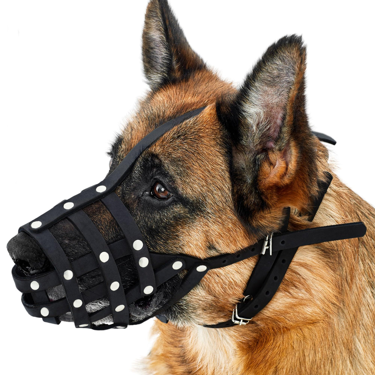 CollarDirect dog muzzle leather basket with adjustable straps for secure fit.