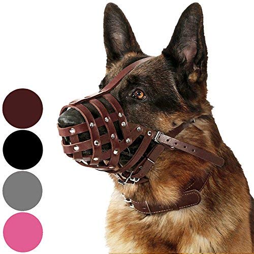 CollarDirect dog muzzle leather basket chestnut front view enables comfortable large-breed walks.