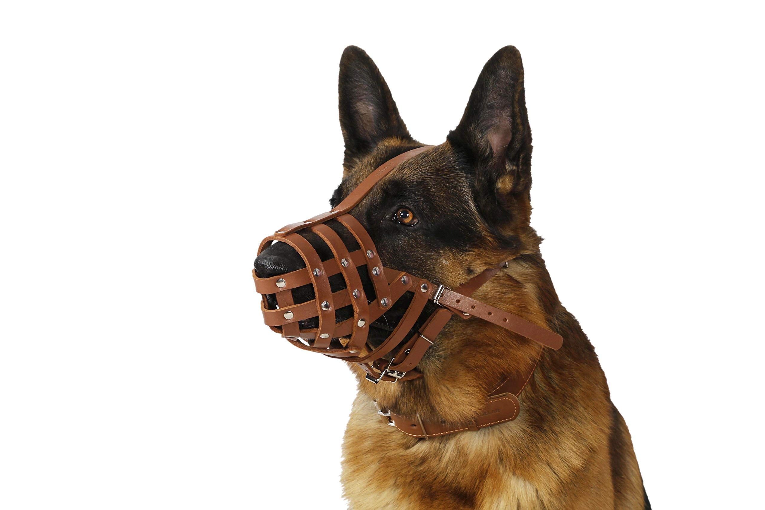 CollarDirect leather basket cross-weave closeup shows breathable comfort during paw-steps.