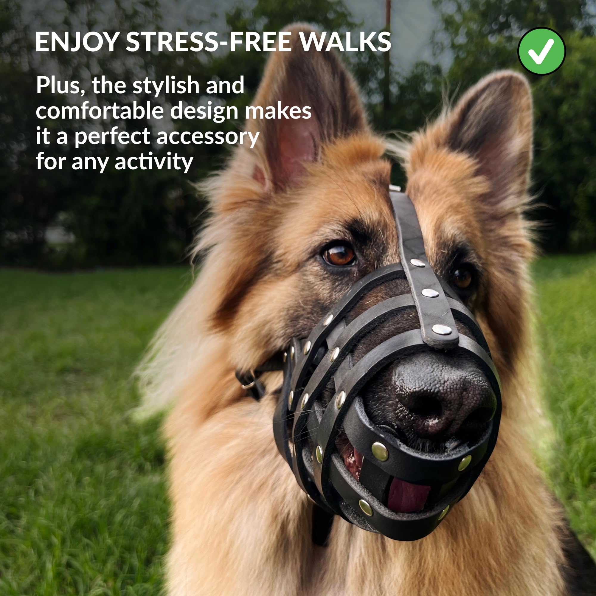 CollarDirect dog muzzle size guide image showing A and B measurements