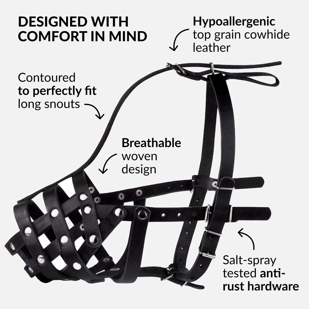 CollarDirect muzzle size guide for medium and large breeds with precise A and B measurements.