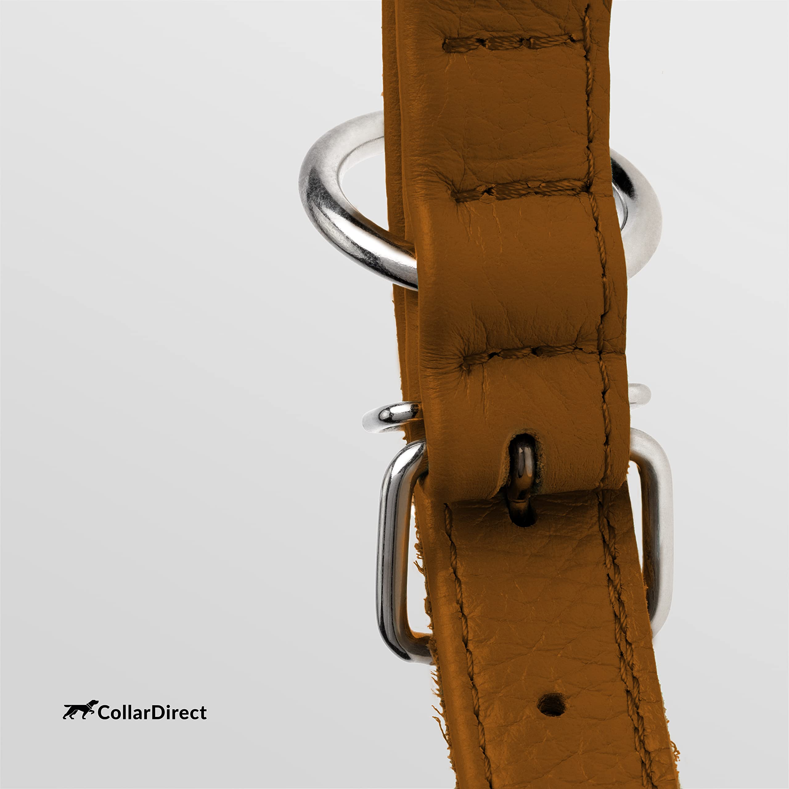 CollarDirect dog wearing cinnamon textured collar for durable outdoor wear.