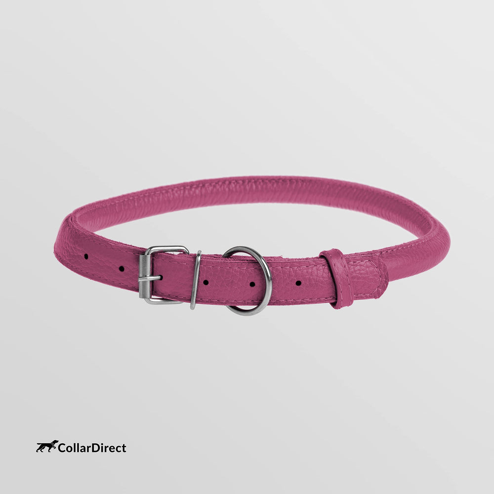 CollarDirect dog wearing rolled collar during outdoor activity shows secure fit.