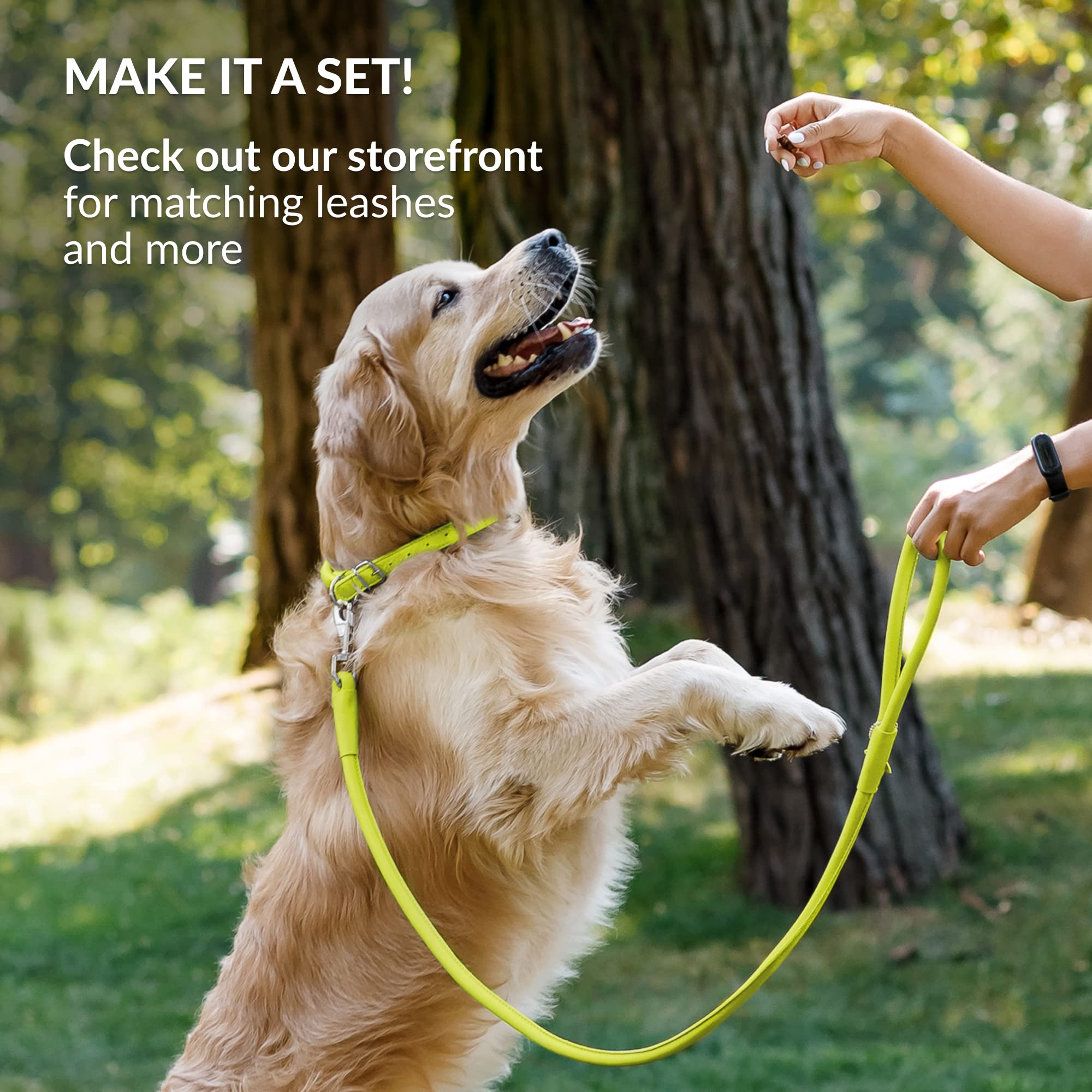 CollarDirect durable leather collar designed for long-lasting use.