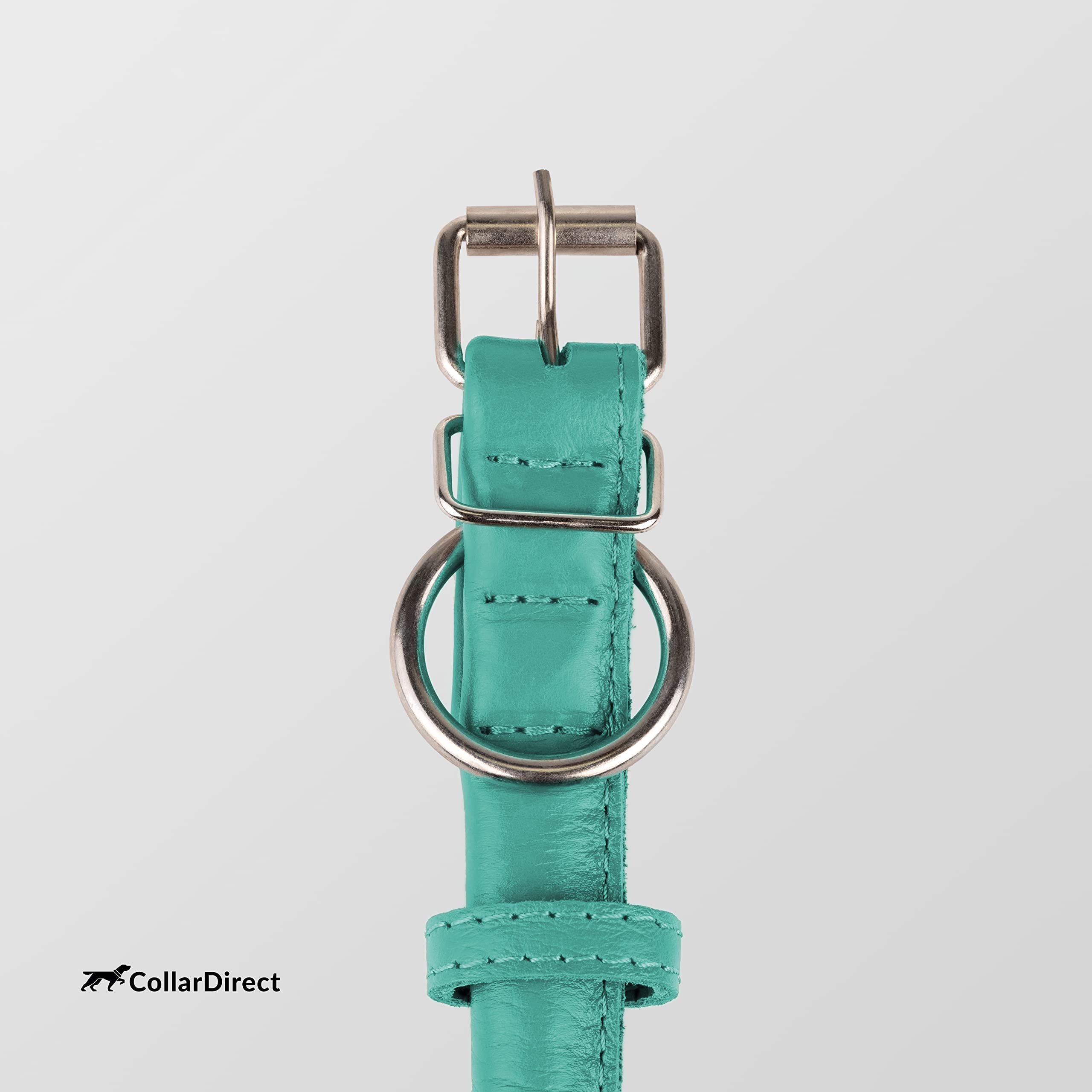CollarDirect durable leather collar built to last through play and rain