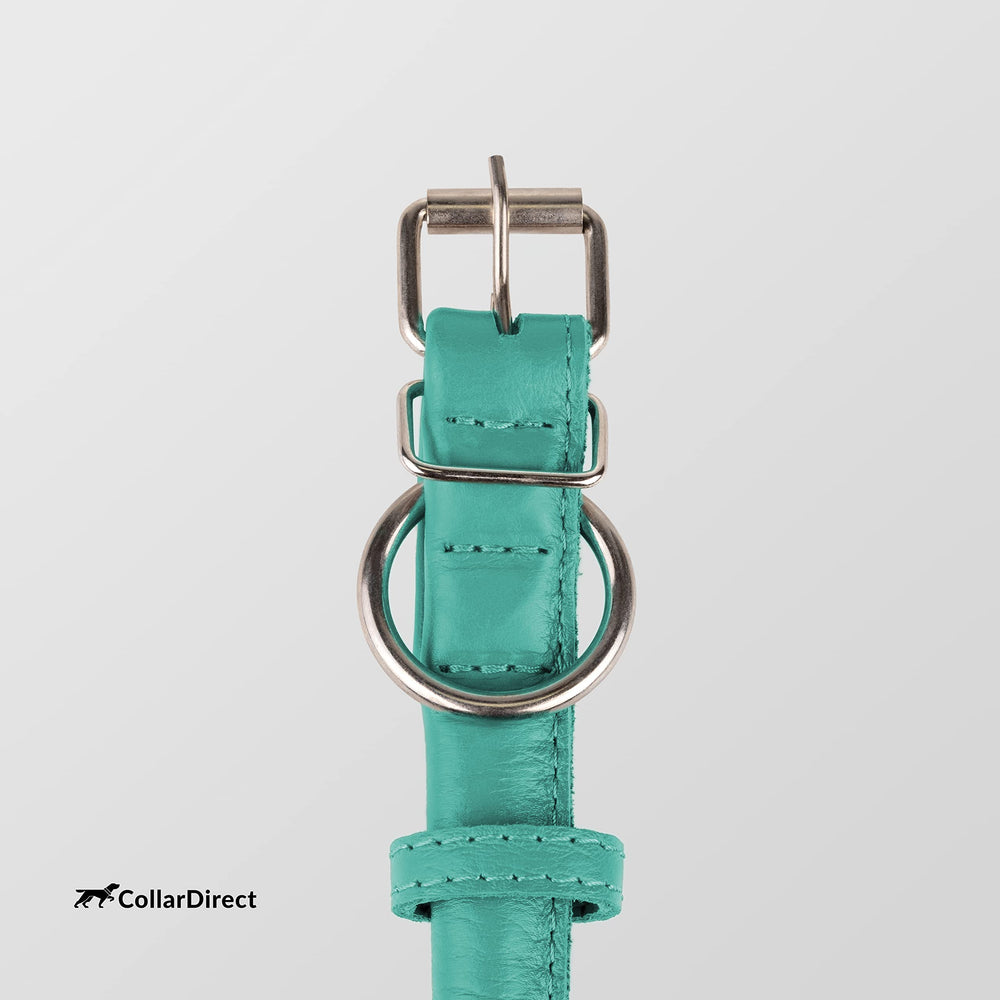 CollarDirect durable leather collar built to last through play and rain