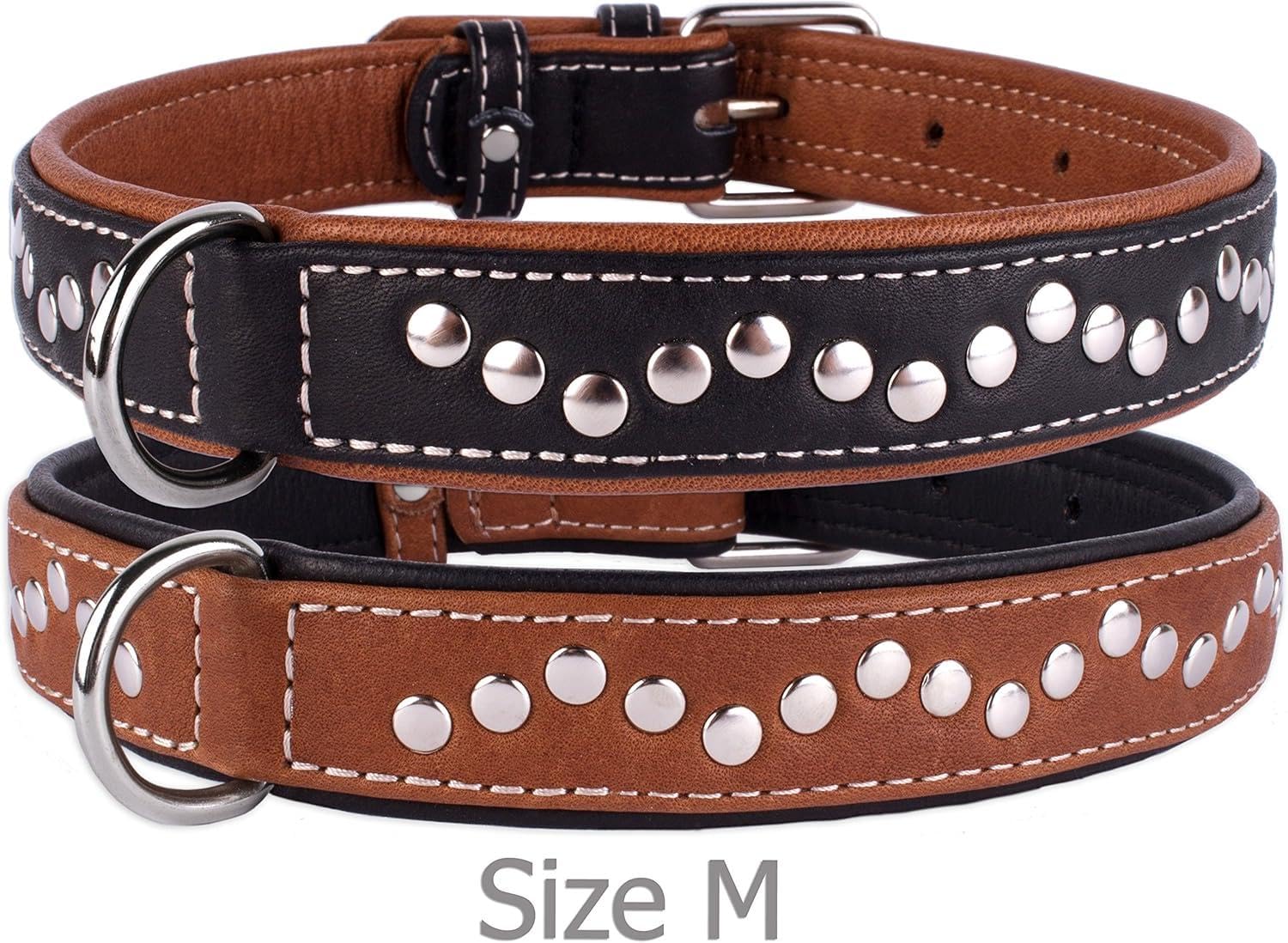 Durable leather collar highlights long lasting wear for daily adventures.