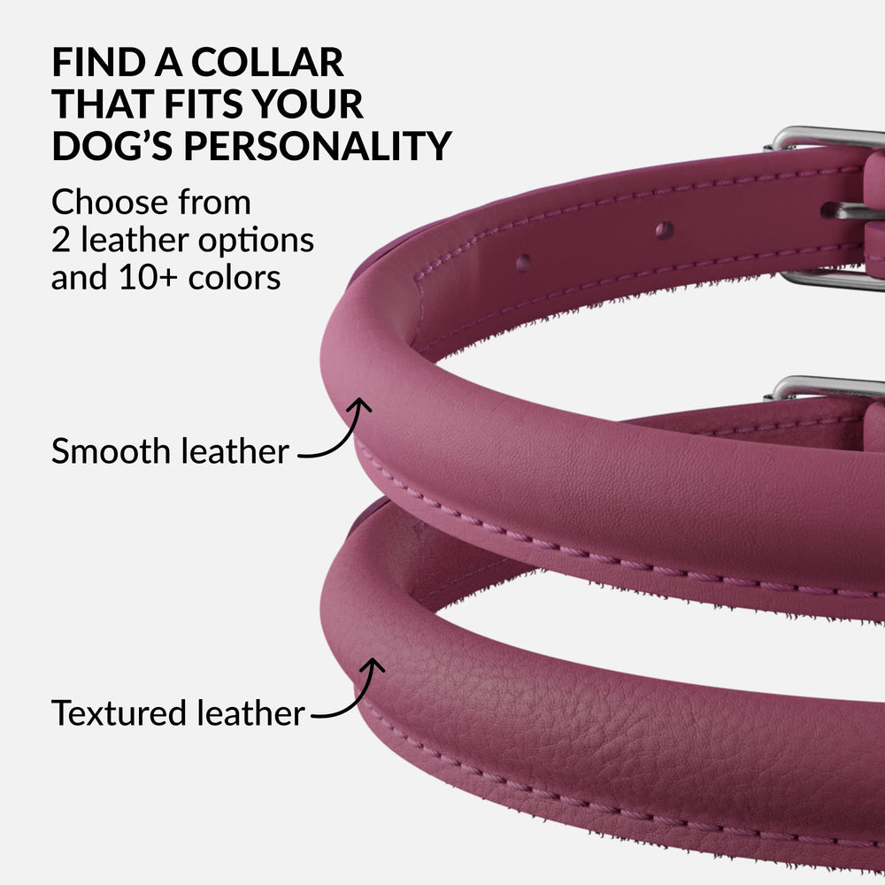 CollarDirect durable leather dog collar with sturdy hardware for active dogs.