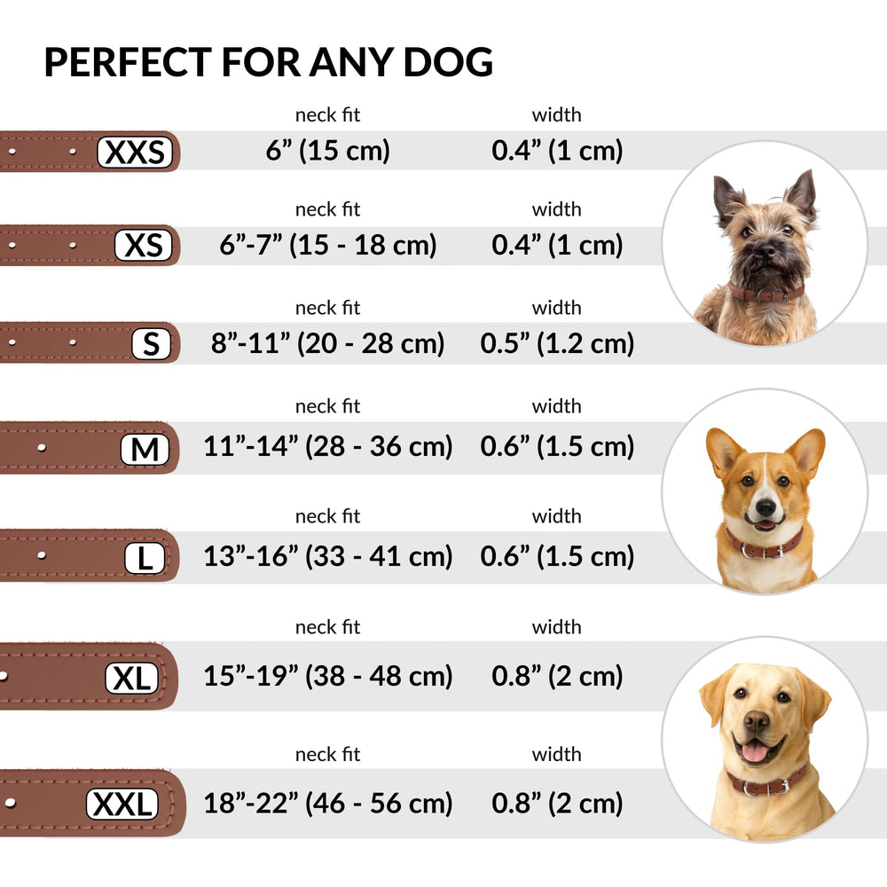 CollarDirect durable leather collar is easy to wipe clean after mud or water adventures