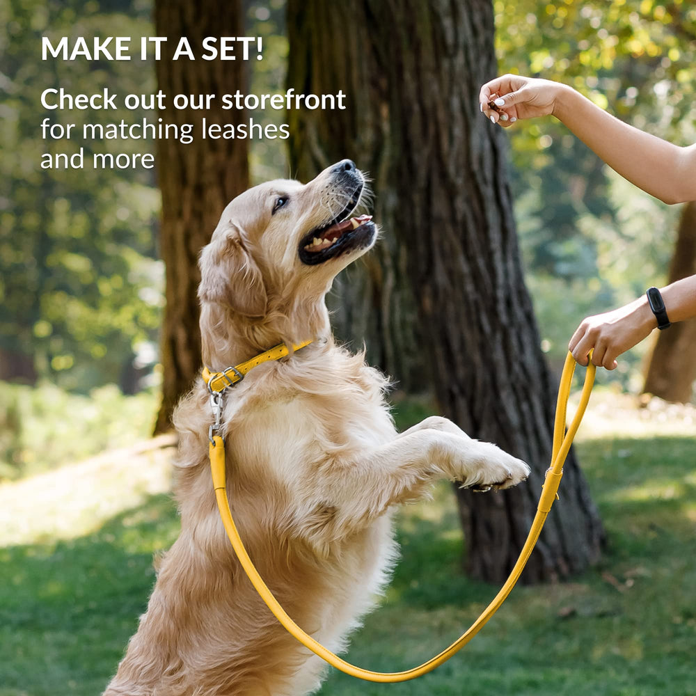 CollarDirect easy clean durable collar shown in muddy outdoor setting for practical cleaning.