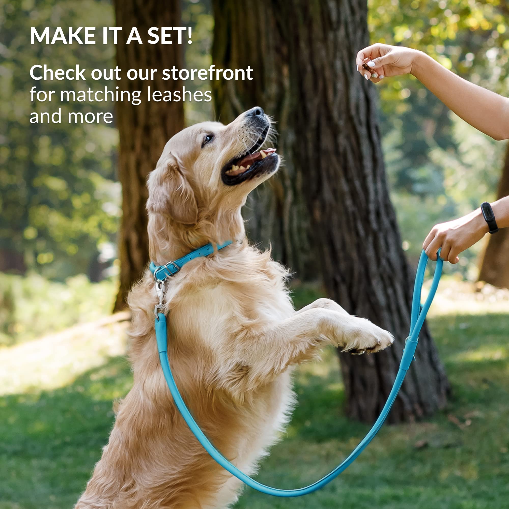 CollarDirect easy-clean leather collar stays durable after mud and water adventures.