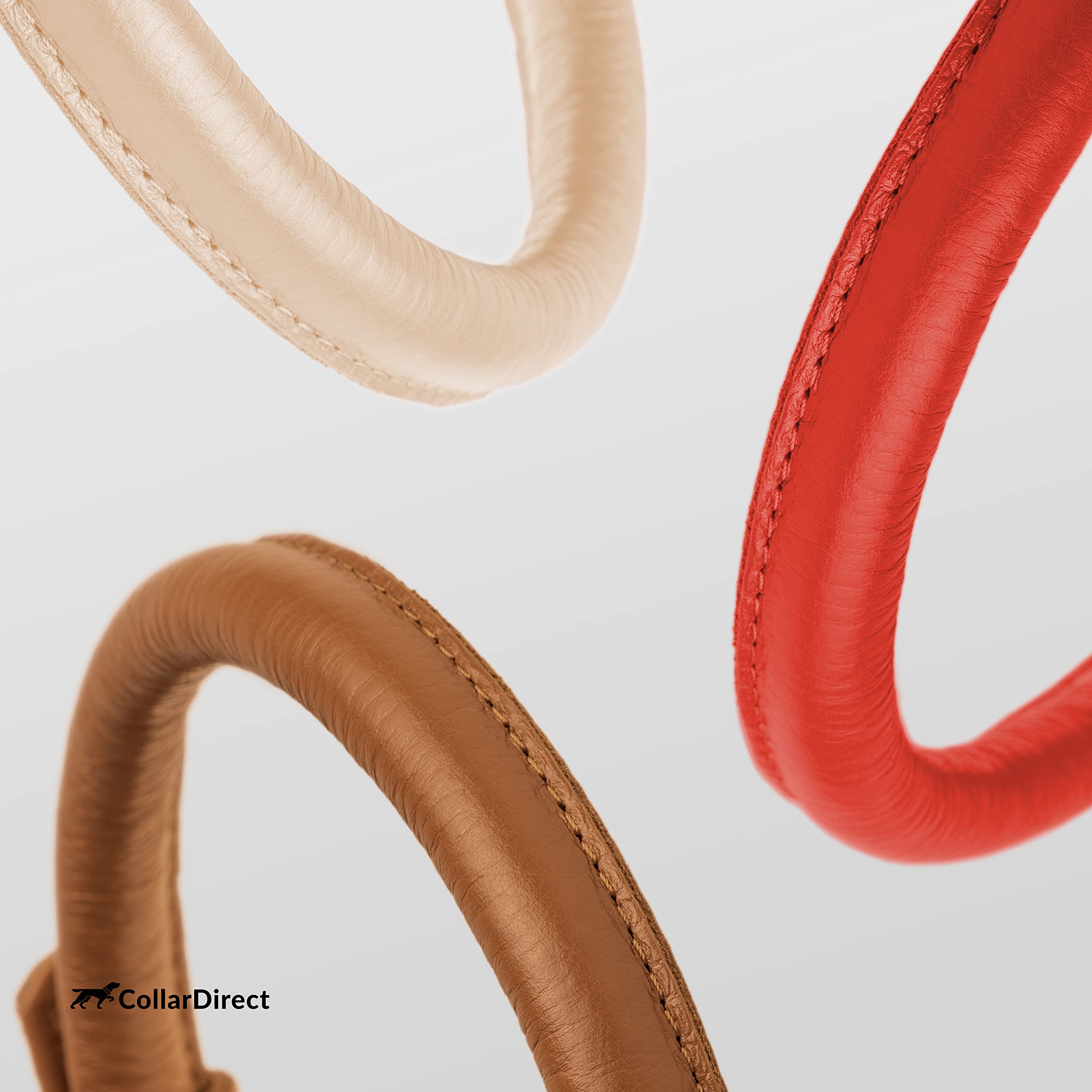 CollarDirect easy-clean leather collar shown after wet outdoor use.