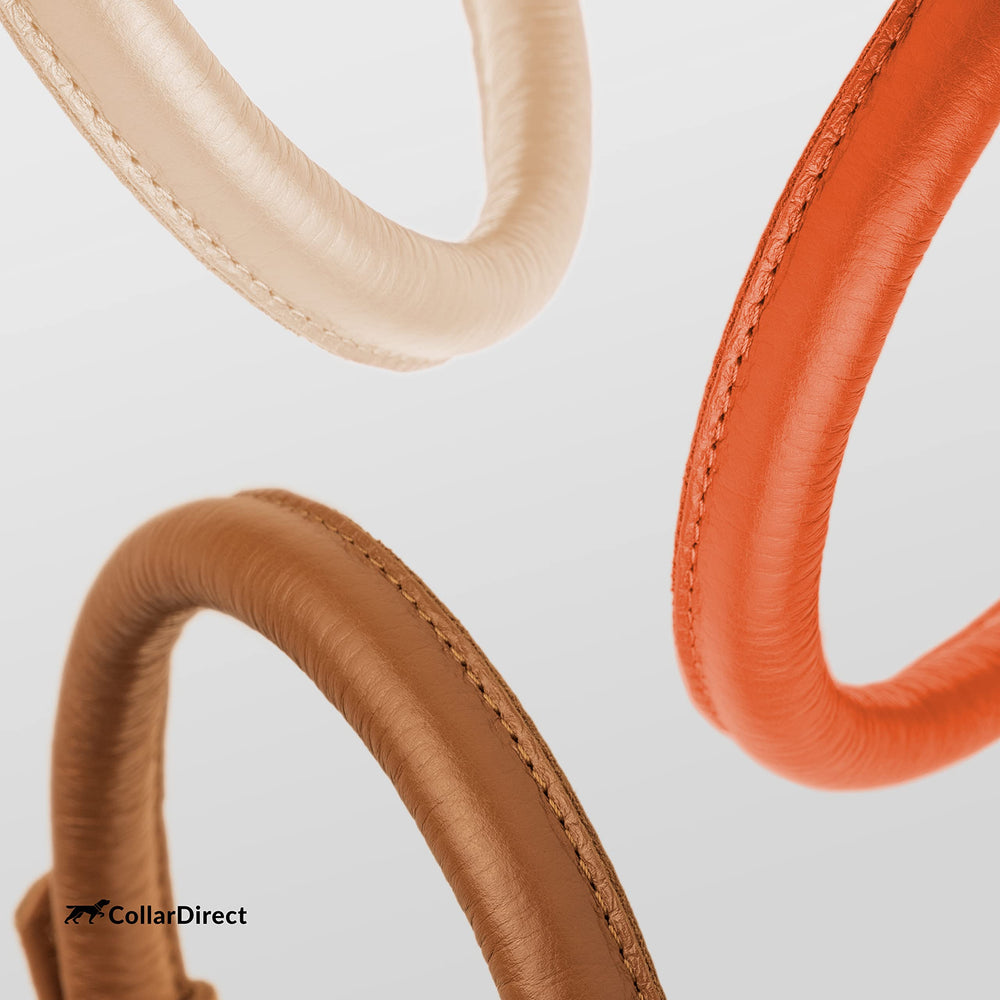 CollarDirect easy clean leather collar ready for outdoor adventures