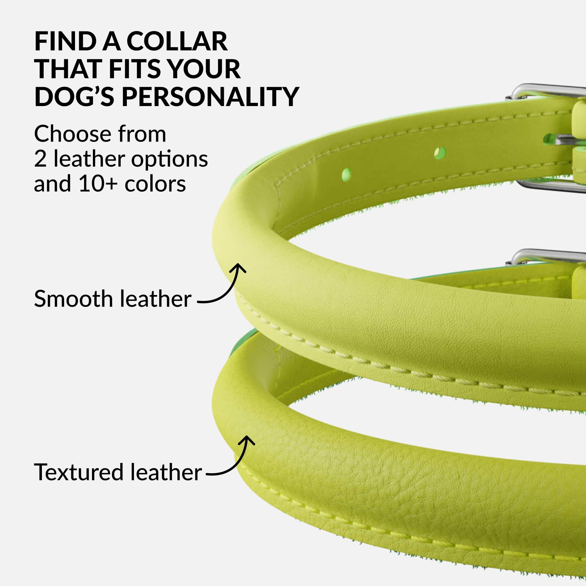 CollarDirect easy-clean feature image shows wipeable leather suitable for muddy adventures.