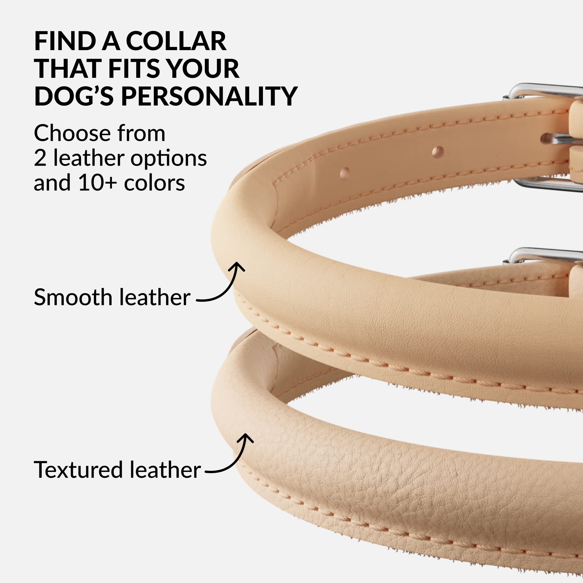 CollarDirect easy-clean leather collar ready for muddy adventures.