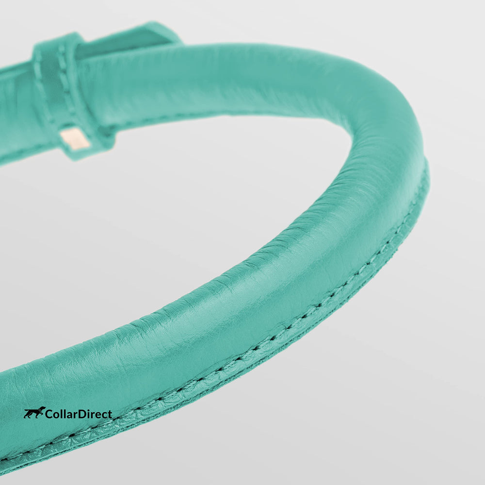 CollarDirect genuine leather dog collar designed for everyday durability and easy cleaning.