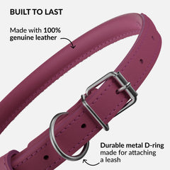 CollarDirect handmade genuine leather collar close-up, durable everyday wear.