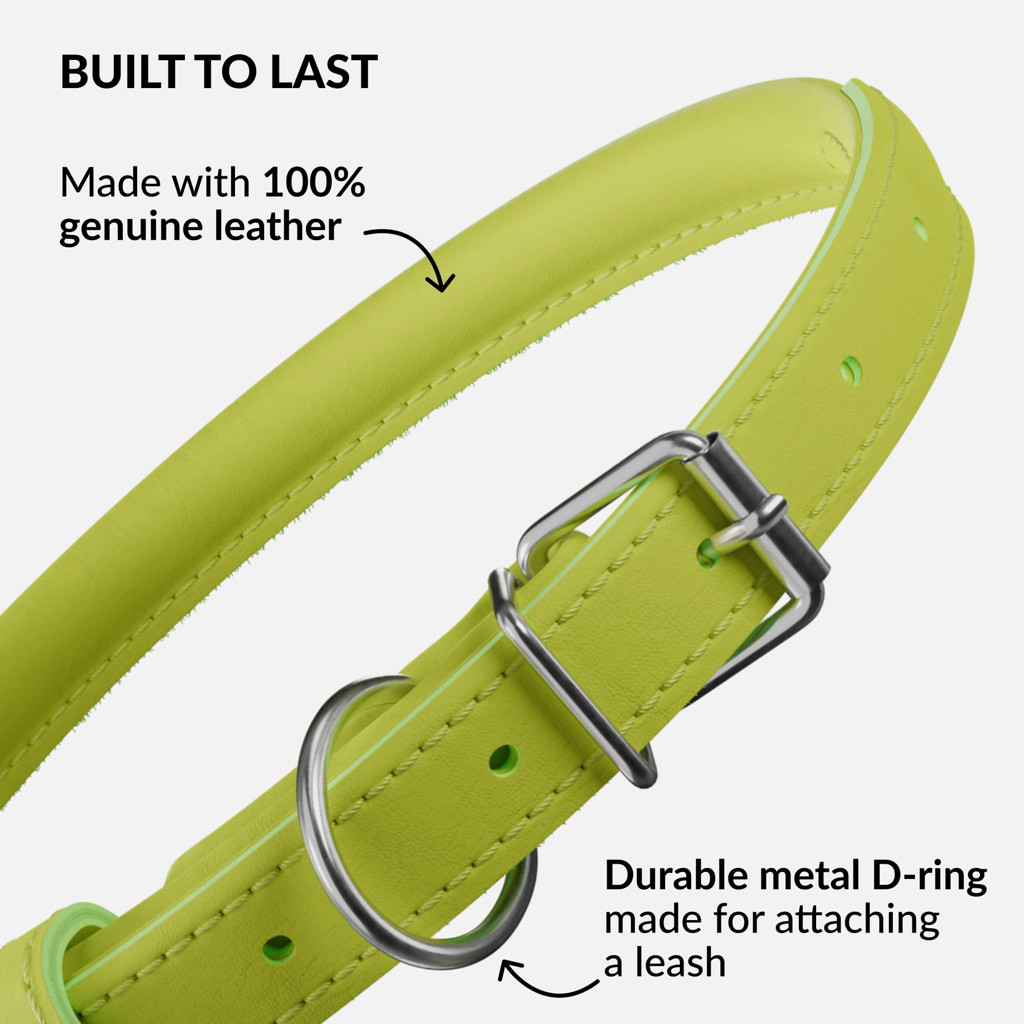 CollarDirect handmade genuine leather collar showing craftsmanship.