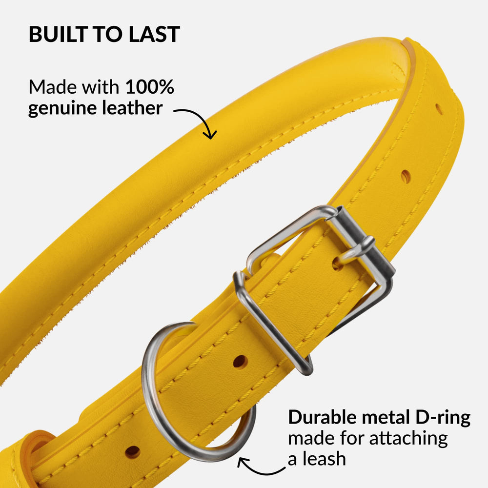 CollarDirect handmade leather cat collar in yellow showcases stylish, coordinated wear.