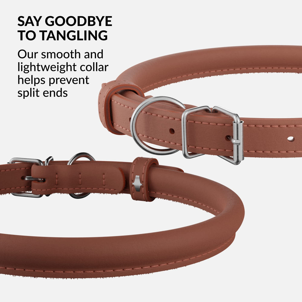 CollarDirect handmade cinnamon smooth leather collar shown on a dog