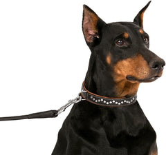CollarDirect handmade leather dog collar assembly highlights craftsmanship