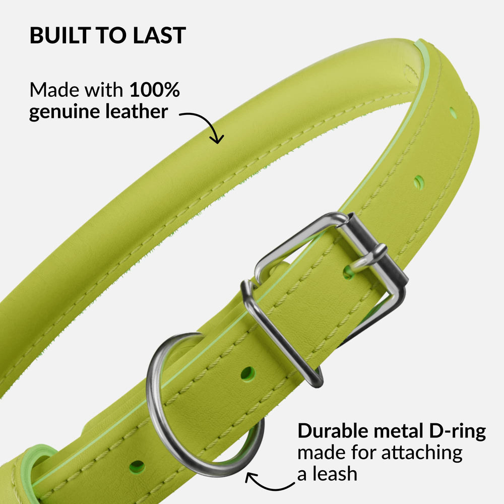 CollarDirect handmade genuine leather dog collar closeup emphasizing craftsmanship and durability.