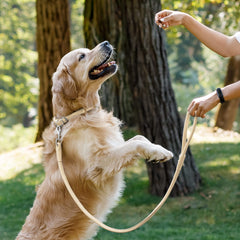 CollarDirect handmade leather leash closeup showcasing soft durable cowhide material