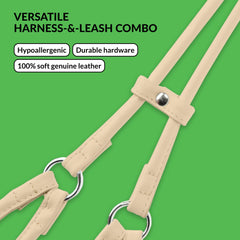 CollarDirect harness with matching pink lead for easy daily walks.