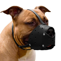 CollarDirect leather basket muzzle front view shows secure fit and airflow for calmer walks