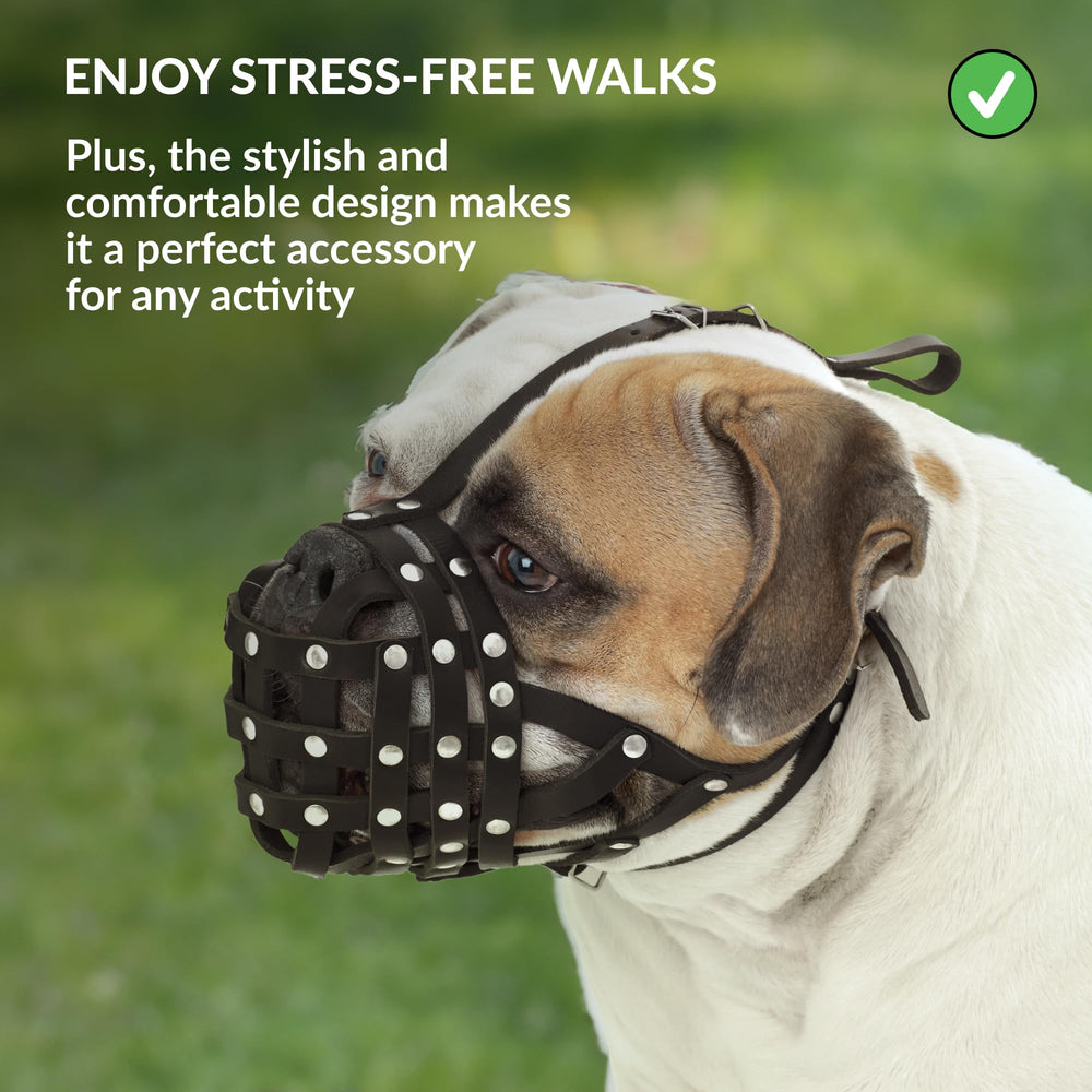 CollarDirect multipurpose muzzle blocks unwanted food and reduces barking during walks.