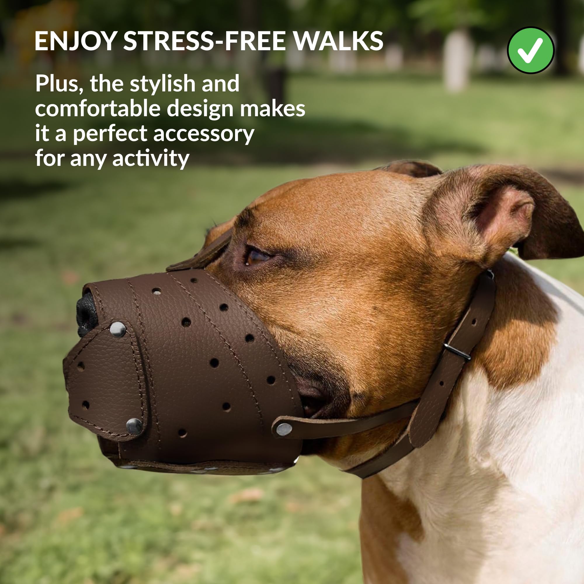 CollarDirect leather basket muzzle polished hardware adds durable, stylish detail for daily use