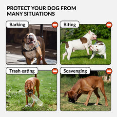 CollarDirect leather muzzle skin-friendly material reduces fur irritation during wear.