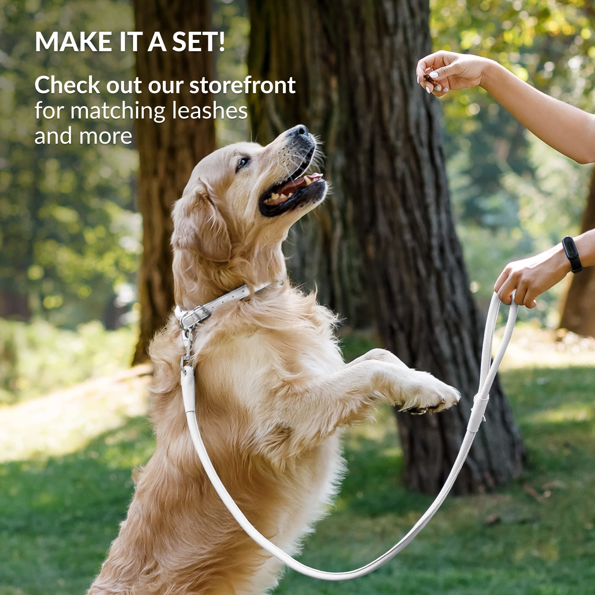 CollarDirect leather cat collar matching image shows coordinated look for pets sharing gear.